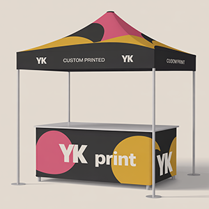 impression barnum stand lyon