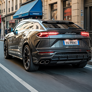 cache plaque voiture lyon